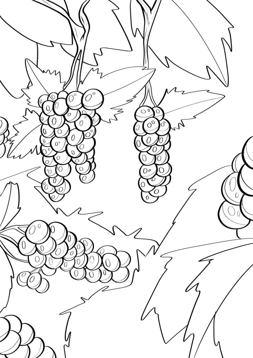 Kolorowanka czerwona porzeczka na drzewie